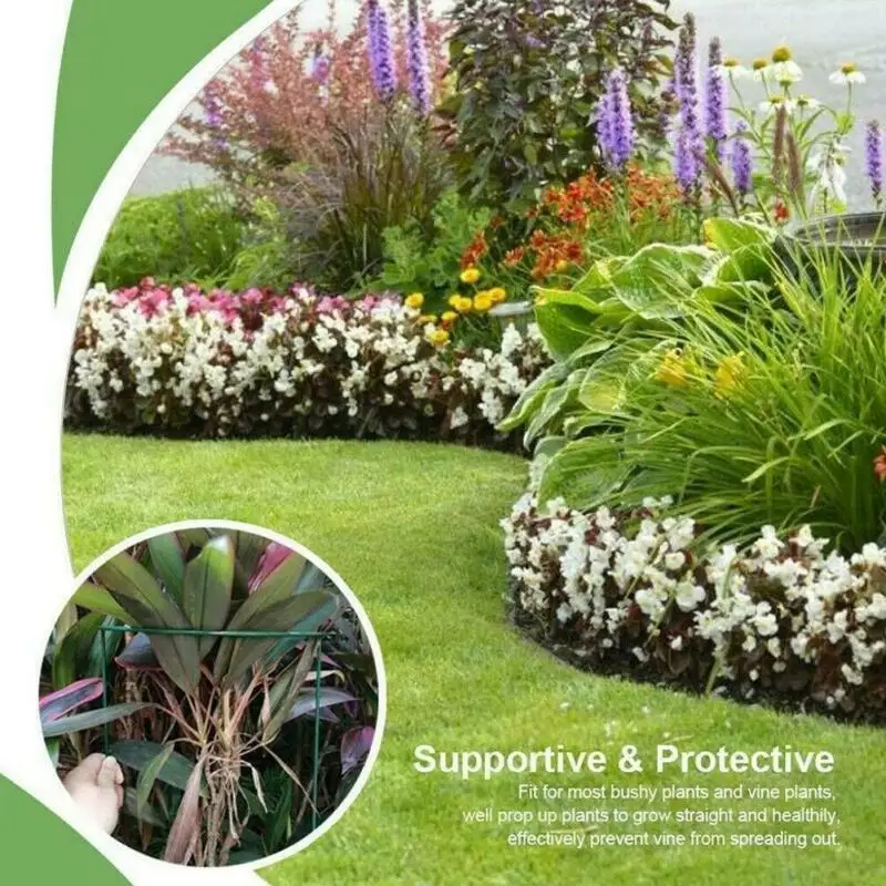 1pc Metal Garden Support Stake Ring Peony Herbaceous Plant Flower Stand Trellis Plant Growth Aids Household New Arrival
1pc Metal Garden Support Stake Ring Peony Herbaceous Plant Flower Stand Trellis Plant Growth Aids Household New Arrival