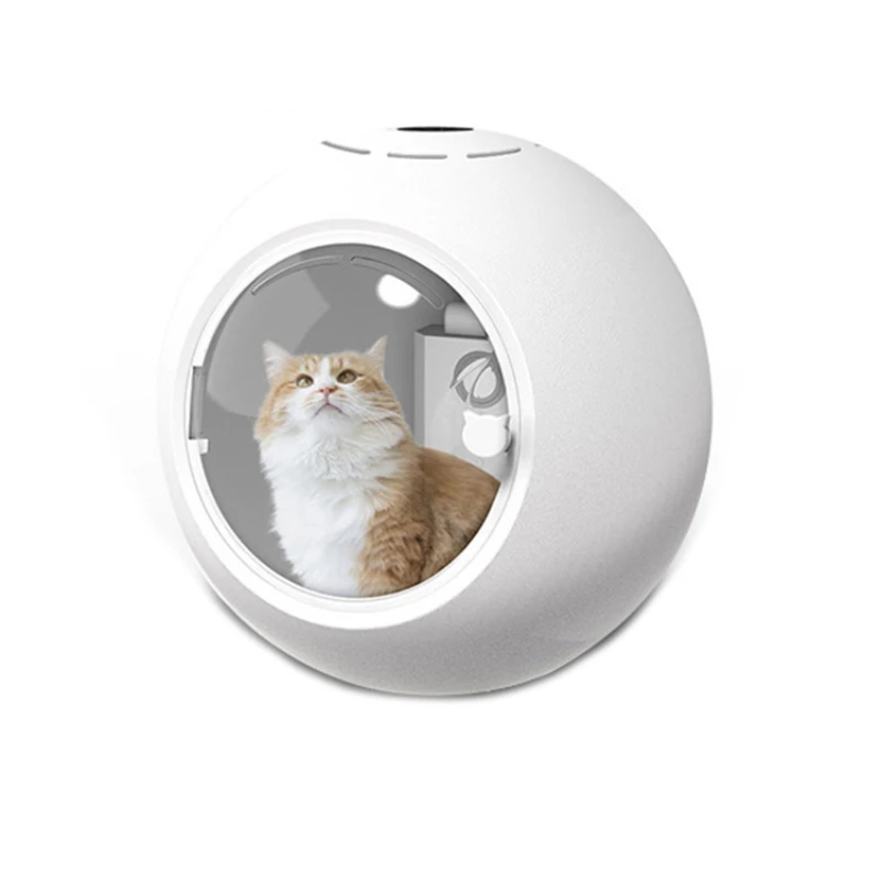 Cat Clean Up Products automatic pet grooming tool dog cat pet hair dryer vertical standing pet dryer holder
Cat Clean Up Products automatic pet grooming tool dog cat pet hair dryer vertical standing pet dryer holder