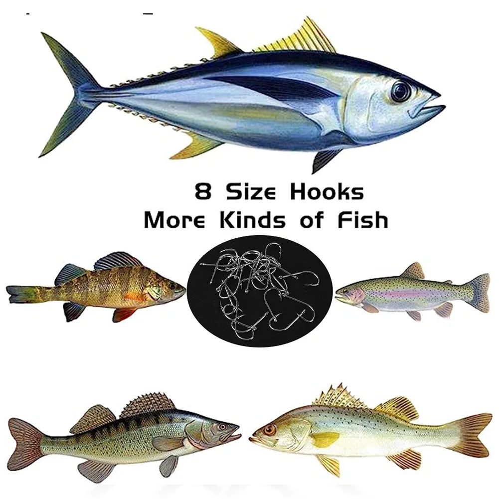 Backthorn Hook Fish Hook 100PCS Crooked Mouth Double Back Thorn Fishing Sea Fishing Stainless Steel Terminal Tackle
Backthorn Hook Fish Hook 100PCS Crooked Mouth Double Back Thorn Fishing Sea Fishing Stainless Steel Terminal Tackle
