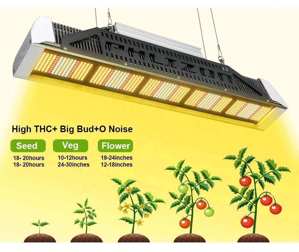 Full Spectrum Led Plant Grow LM301B 561C 301H Led strip Grow Bar Light for Hydroponics Plant/Flower/Fruit
Full Spectrum Led Plant Grow LM301B 561C 301H Led strip Grow Bar Light for Hydroponics Plant/Flower/Fruit