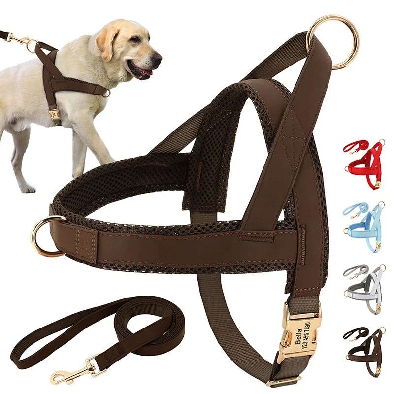 

Personalized Dog Harness Leash Set No Pull Dog Harnesses Adjustable Pet Vest for Small Medium Large Dogs Pets Walking Lead Rope