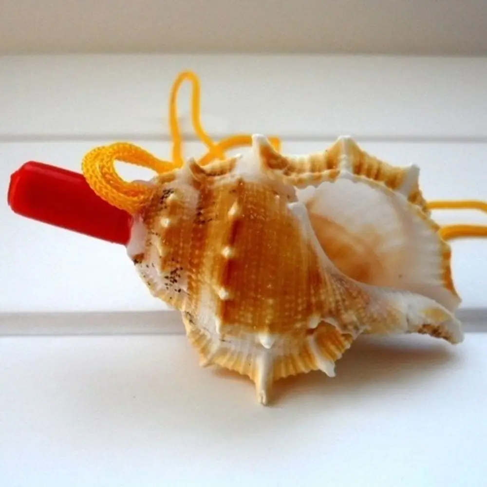 Instrument Crafts Decoration Creative Shell Pendant Kids Children Shipping Gift Toys Survival Tool Conch Whistle
Instrument Crafts Decoration Creative Shell Pendant Kids Children Shipping Gift Toys Survival Tool Conch Whistle