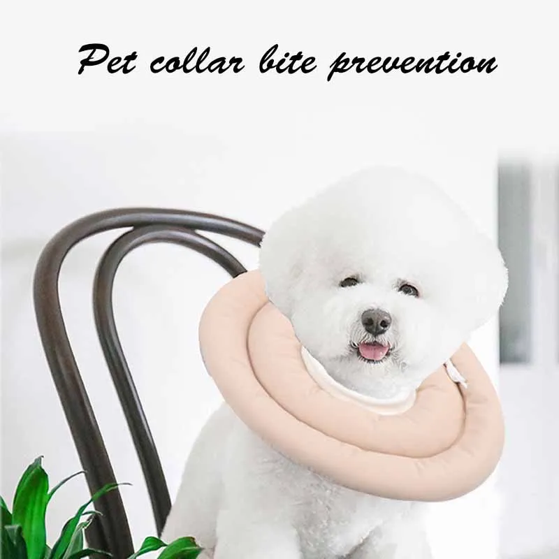 Pet Accessories Cat Neck Ring Cat Collar Dog Head Collar Cat Pet Dog Supplies Bite and Lick Puppy Accessories
Pet Accessories Cat Neck Ring Cat Collar Dog Head Collar Cat Pet Dog Supplies Bite and Lick Puppy Accessories