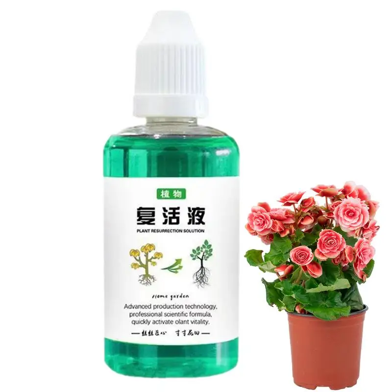 Root Stimulator for Plants 30ml Plant Growth Enhancer Succulent Root Booster Indoor Plant Fertilizer Plant Nutrient Solution
Root Stimulator for Plants 30ml Plant Growth Enhancer Succulent Root Booster Indoor Plant Fertilizer Plant Nutrient Solution