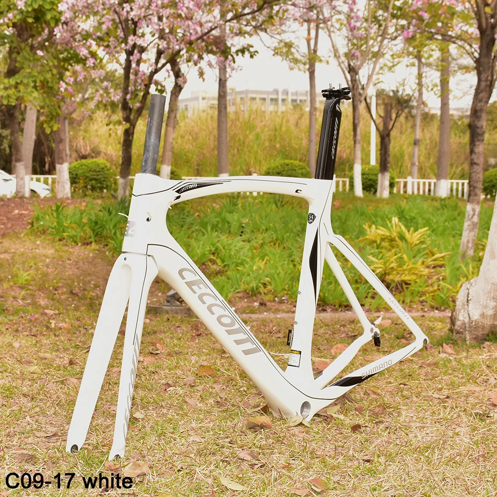 

Road Bicycle Frameset from CECCOTTI Factory Carbon Bike Frame, Pearl White Color Framework