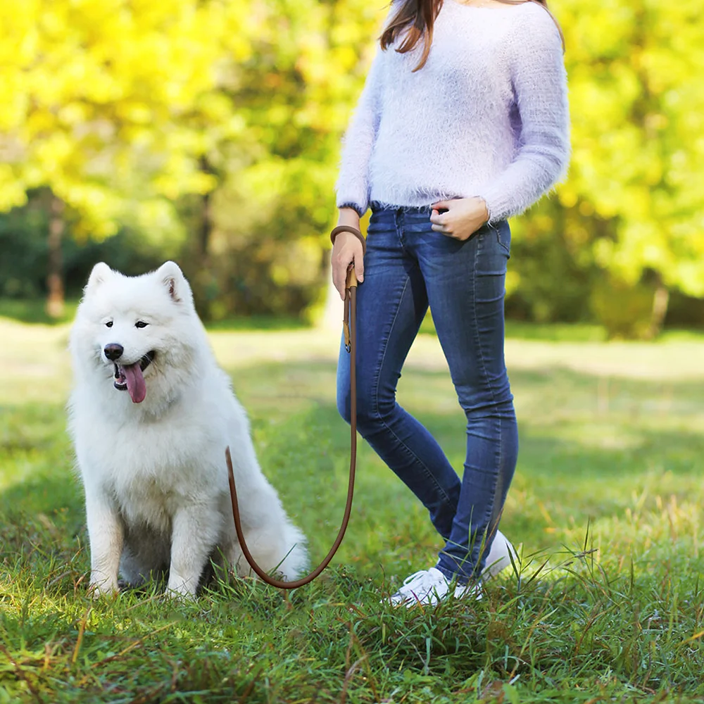 Correa grande para perro de 1,8 M 6 Sd068e081f6ab4f10b0d8600150b7fb52k
