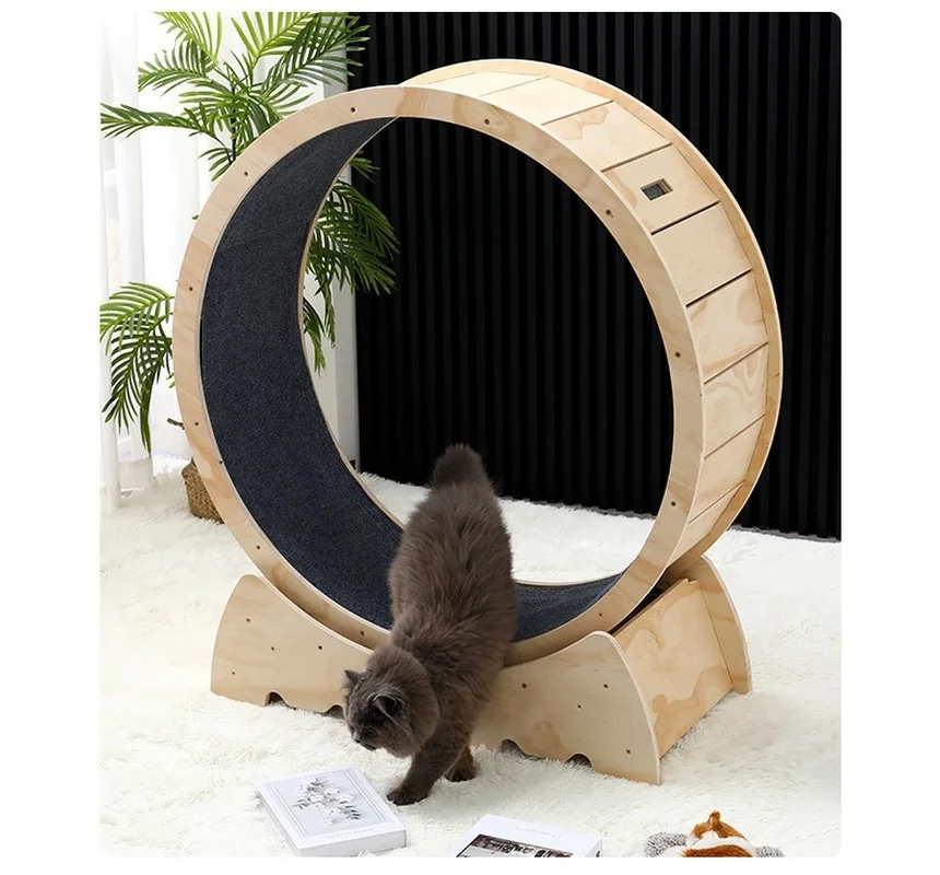 Modern wooden cat treadmill household pet supplies roller sports running wheel cat climbing frame cat toy round track
Modern wooden cat treadmill household pet supplies roller sports running wheel cat climbing frame cat toy round track