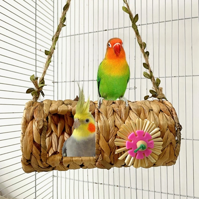 Легкий травяной туннель для убежища попугаев для морских свинок-попугаев
Легкий травяной туннель для убежища попугаев для морских свинок-попугаев