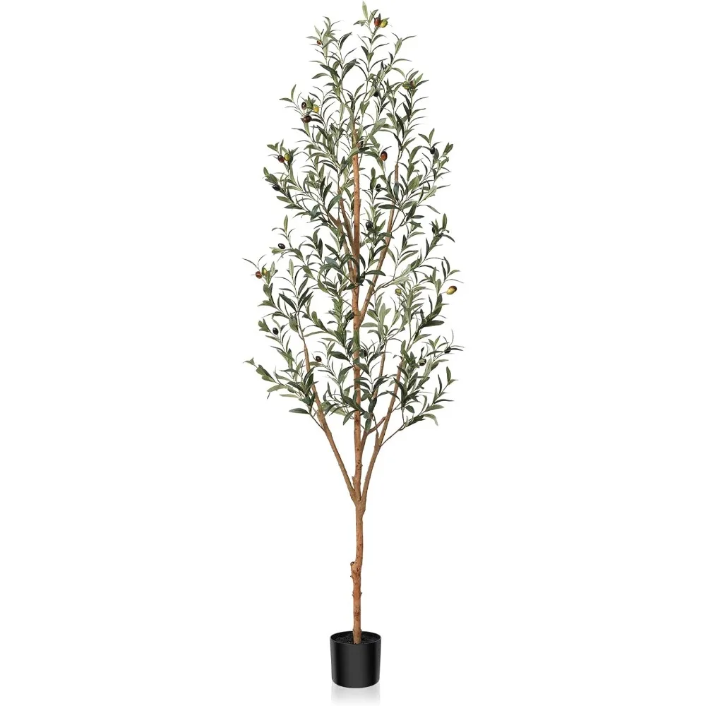 Kazeila Artificial Olive Tree 6FT Tall Faux Silk Plant for Home Office Decor Indoor Fake Potted Tree with Natural Wood Trunk
Kazeila Artificial Olive Tree 6FT Tall Faux Silk Plant for Home Office Decor Indoor Fake Potted Tree with Natural Wood Trunk