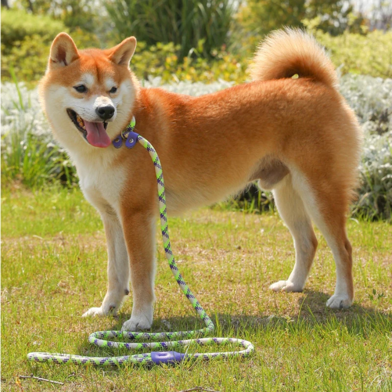 1.5mx1cm Dog Leash Slip Rope Lead Leash Heavy Duty Braided Rope Adjustable Loop Collar Training Leashes for Medium Large Dogs
1.5mx1cm Dog Leash Slip Rope Lead Leash Heavy Duty Braided Rope Adjustable Loop Collar Training Leashes for Medium Large Dogs