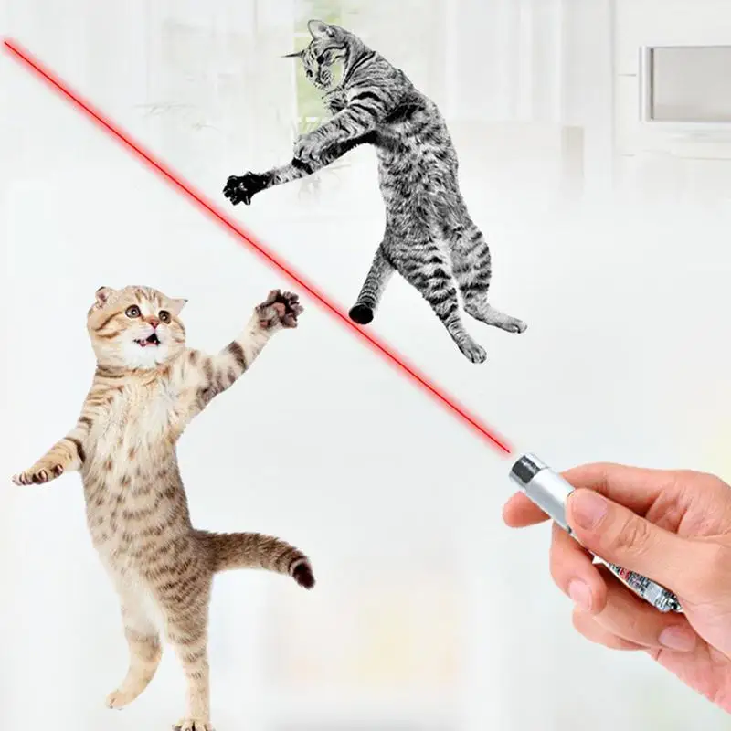 

2 In 1 Mini Cat Dog Fun Pointer Infra red LED Training Torch Pet Training Device LED Pointer Pet Dogs Toys Red Light Laser Toy