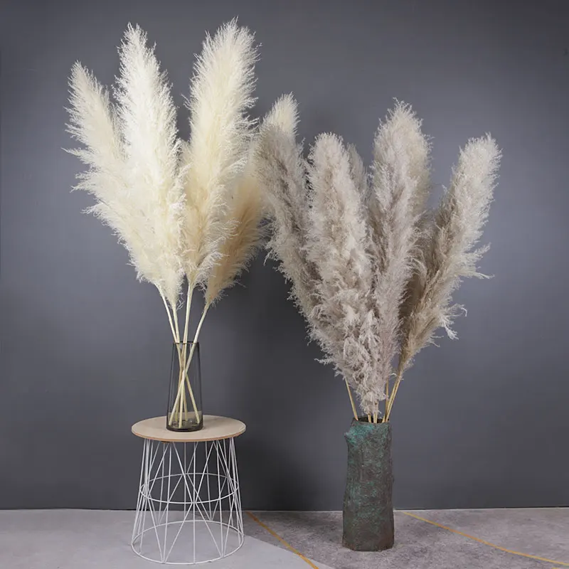 Large Pampas Grass Natural Dried Flowers Bouquet Fluffy Plants For Home Table Decor Wedding Arrangement Flowers Decorations
Large Pampas Grass Natural Dried Flowers Bouquet Fluffy Plants For Home Table Decor Wedding Arrangement Flowers Decorations