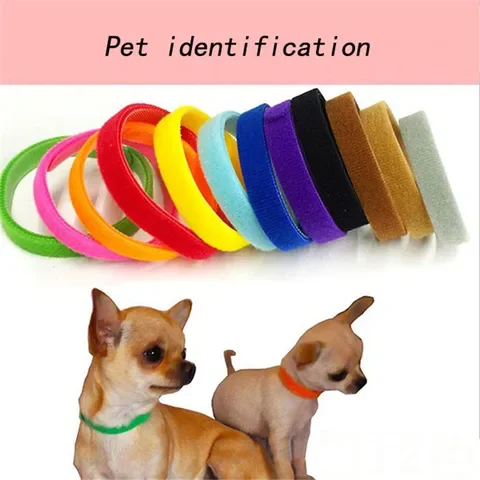 

Adjustable Nylon Small Pet Dog Collars 12 Pcs/Set Puppy Newborn Pets Identify Collars Kitten Necklace ID Puppy Collars
