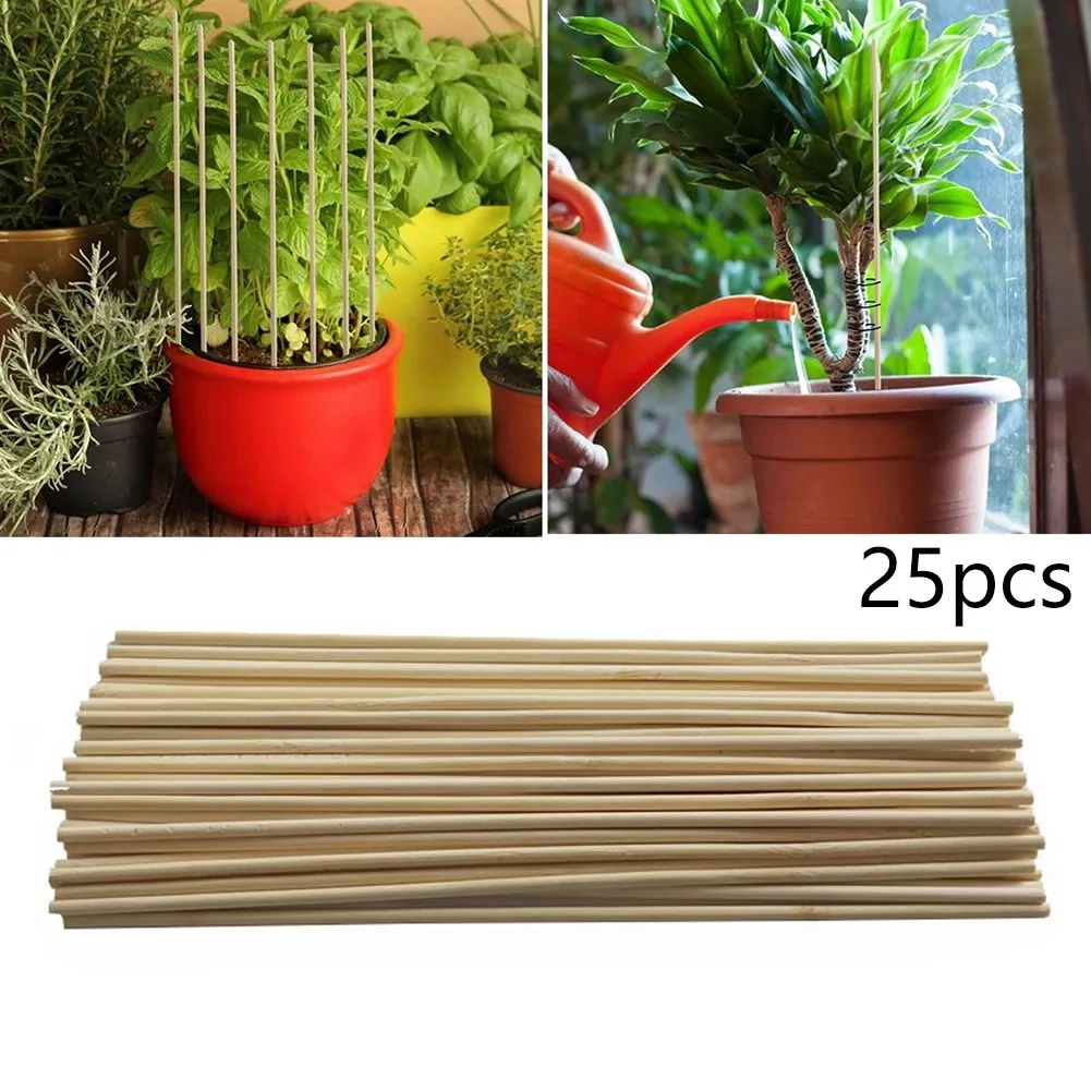 Elements Plant Support Sticks Trellis Bamboom Garden Plants Stakes Support Tomatoes Tools 25pcs Accessory Parts
Elements Plant Support Sticks Trellis Bamboom Garden Plants Stakes Support Tomatoes Tools 25pcs Accessory Parts