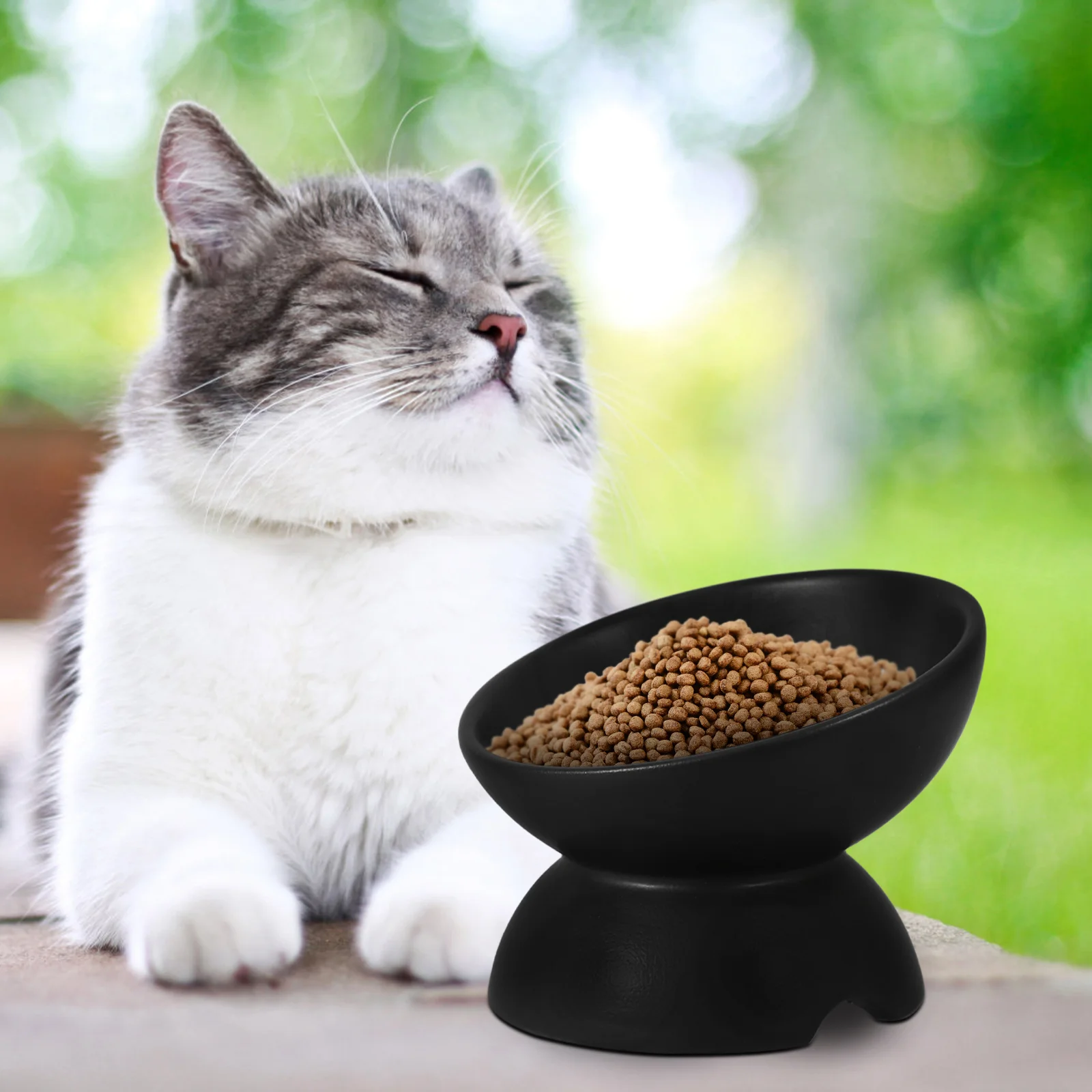 Cat Tall Bowl Pet Water Ceramic Raised Bowls Lovely Feeding Floor Kitten Ceramics Cats
Cat Tall Bowl Pet Water Ceramic Raised Bowls Lovely Feeding Floor Kitten Ceramics Cats
