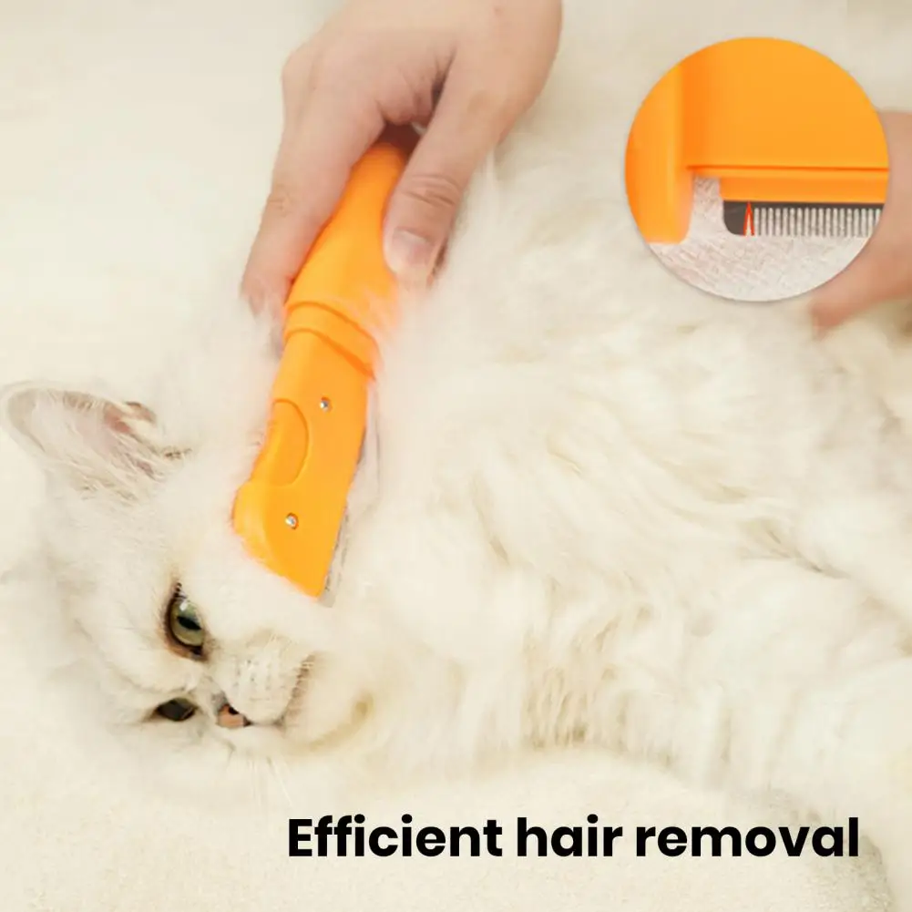 Dog Hair Removal Brush Efficient Pet Hair Grooming Comb for Cats Dual-purpose Massage Tool Multi-functional Knot Opening Hair
Dog Hair Removal Brush Efficient Pet Hair Grooming Comb for Cats Dual-purpose Massage Tool Multi-functional Knot Opening Hair