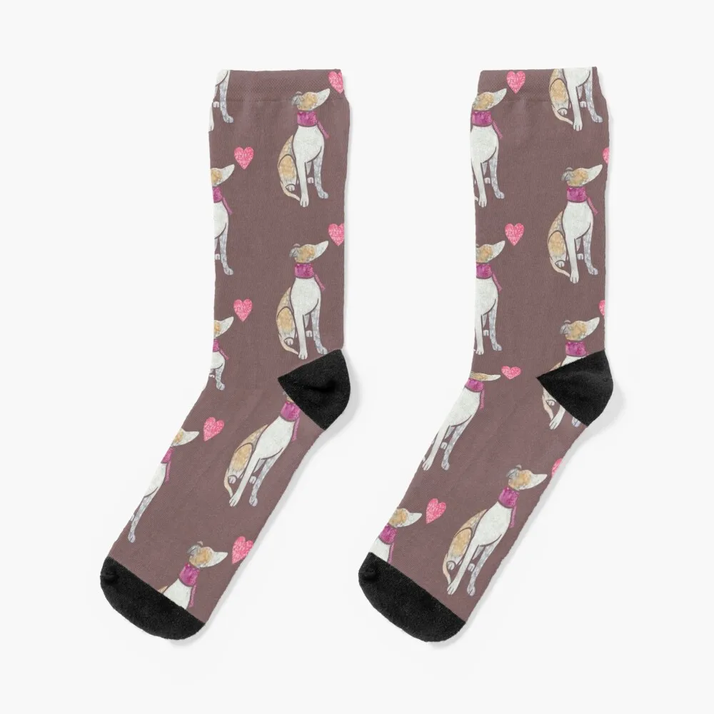 Watercolour Whippet Socks set New year's Heating sock Argentina Socks Women's Men's
Watercolour Whippet Socks set New year's Heating sock Argentina Socks Women's Men's