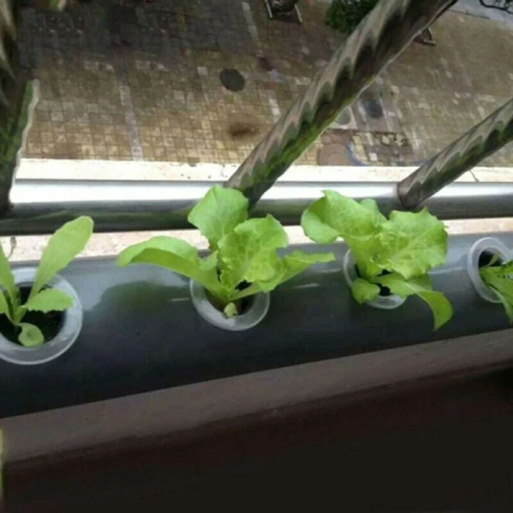 Hydroponic Basket 50pcs Net Cups Grow Vegetable Hydroponic System Mesh Pot Outdoor Slotted Mesh Soilless Culture Starting
Hydroponic Basket 50pcs Net Cups Grow Vegetable Hydroponic System Mesh Pot Outdoor Slotted Mesh Soilless Culture Starting