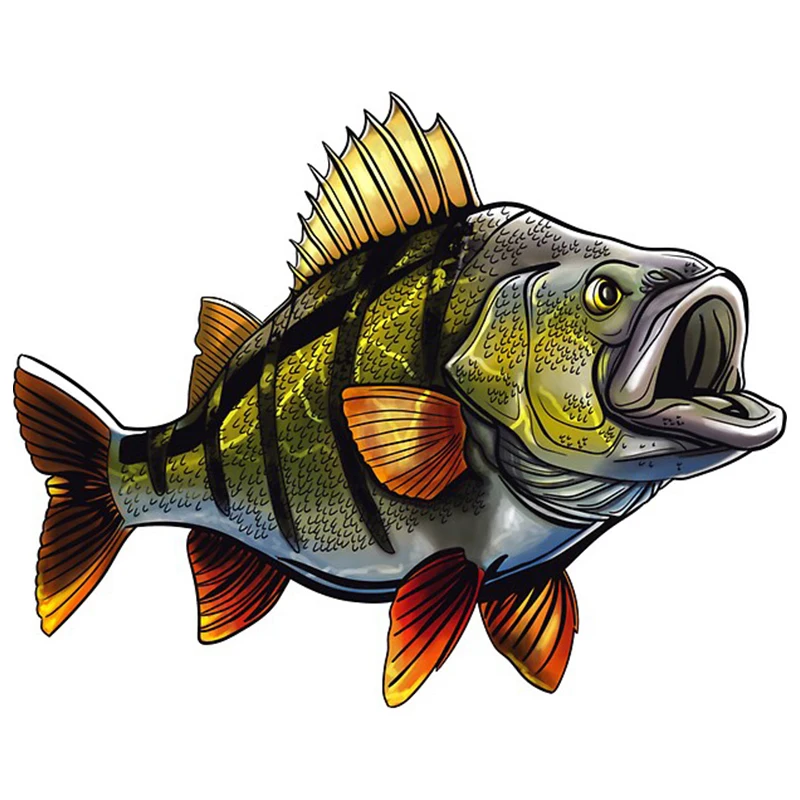 Car Stickers Vinyl Decal For Fishing Fish Motorcycle Laptop Car Wrap Anime Surfboard Decals Decor Car Accessories Decor
Car Stickers Vinyl Decal For Fishing Fish Motorcycle Laptop Car Wrap Anime Surfboard Decals Decor Car Accessories Decor