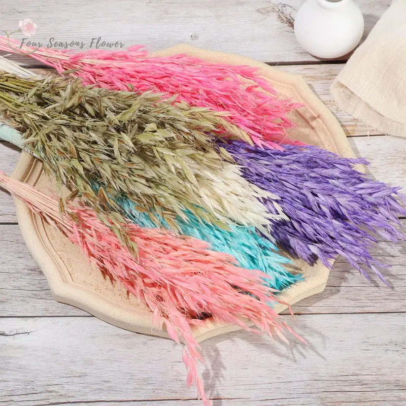 25/50Pcs Natural Dried Oat Real Wheat Ear Flower For Wedding Table And Room Party DIY Decoration Flowers Bouque Garden Decor
25/50Pcs Natural Dried Oat Real Wheat Ear Flower For Wedding Table And Room Party DIY Decoration Flowers Bouque Garden Decor