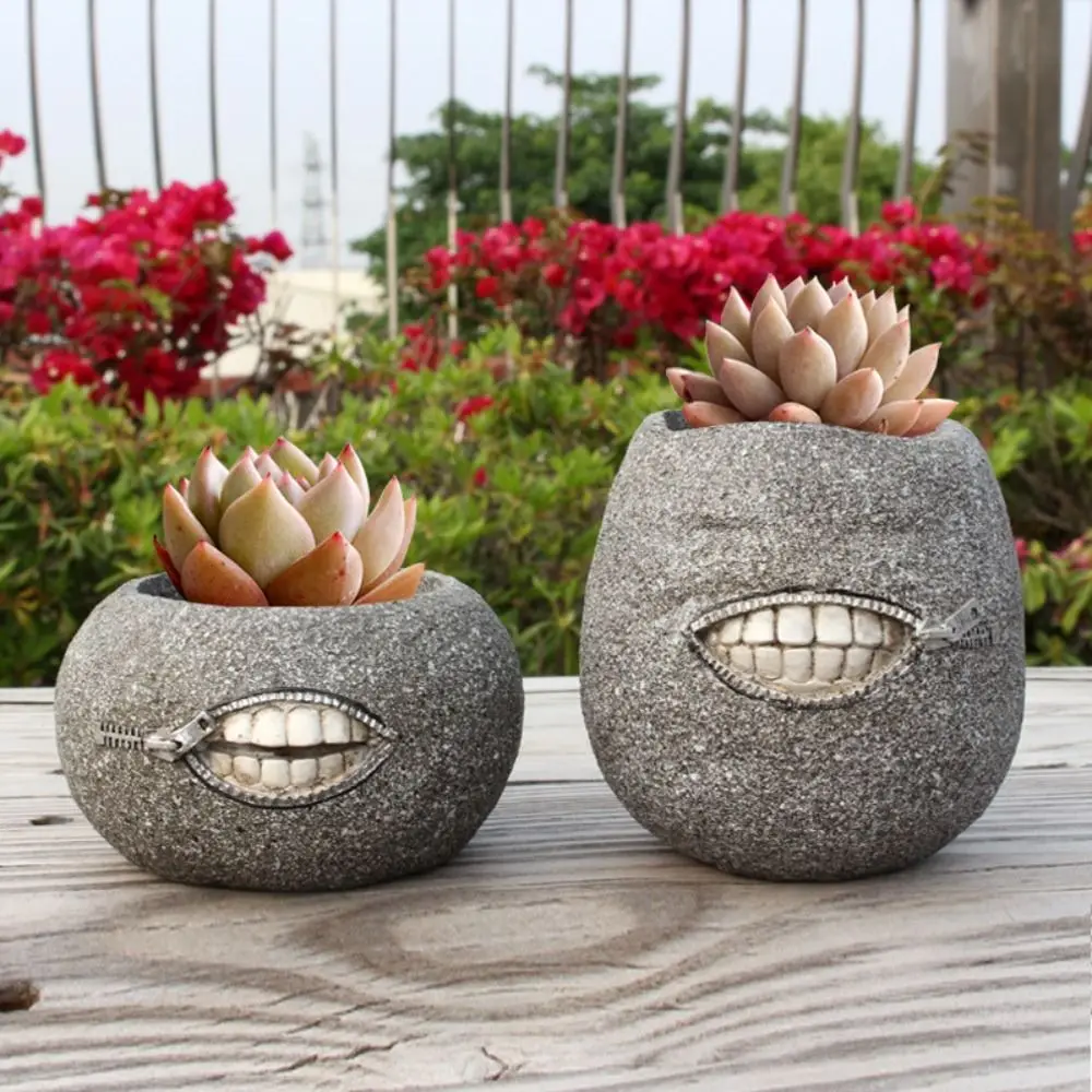 2Pcs Funny Small Succulent Plant Pot with Drainage Holes Unique Tooth Home Decoration Novelty Sturdy and Durable Resin Flowerpot
2Pcs Funny Small Succulent Plant Pot with Drainage Holes Unique Tooth Home Decoration Novelty Sturdy and Durable Resin Flowerpot