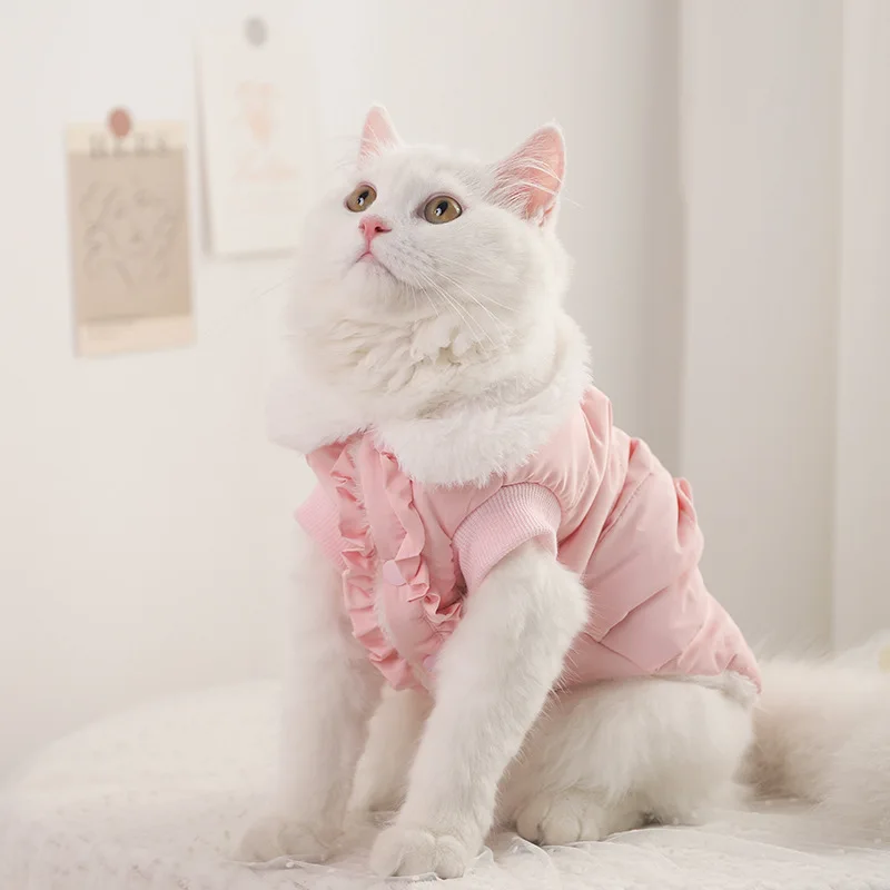 1Pcs New Cat Cottoncoat Anti - Removal Polyester Cotton Wool Fashion Lovely Soft Breathable Warm Clothing Home Pet Supplies CW
1Pcs New Cat Cottoncoat Anti - Removal Polyester Cotton Wool Fashion Lovely Soft Breathable Warm Clothing Home Pet Supplies CW
