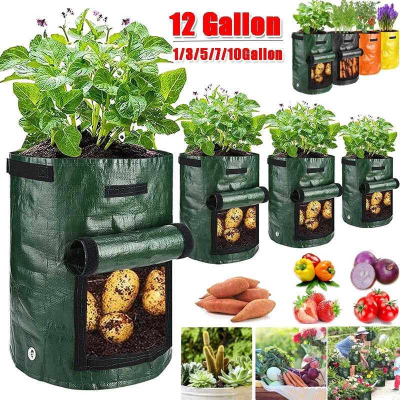 Fabric Plant Pots Grow Bags 1/3/5/7/10 Gallon Gardening Vegetable Tomato Strawberry Growing Planter Garden Potato Planting Pots
Fabric Plant Pots Grow Bags 1/3/5/7/10 Gallon Gardening Vegetable Tomato Strawberry Growing Planter Garden Potato Planting Pots