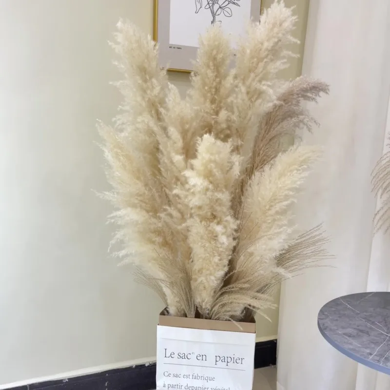 8pcs 80cm Pampas Grass Large Decorative Dried Flowers Natural Living Room Decoration Fluffy Home Decor Bouquet For Wedding Party
8pcs 80cm Pampas Grass Large Decorative Dried Flowers Natural Living Room Decoration Fluffy Home Decor Bouquet For Wedding Party
