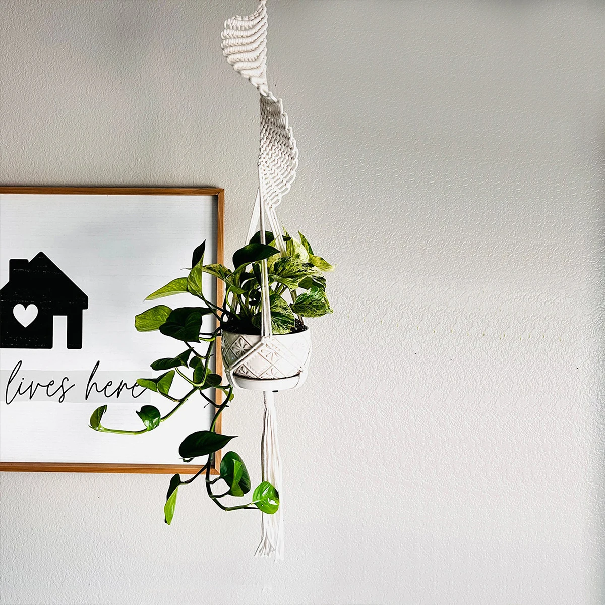 Handmade Cotton Macrame Plant Hanger 4 Sd2b9ccee3c4a4a4988b56fd2bdb482dfc
