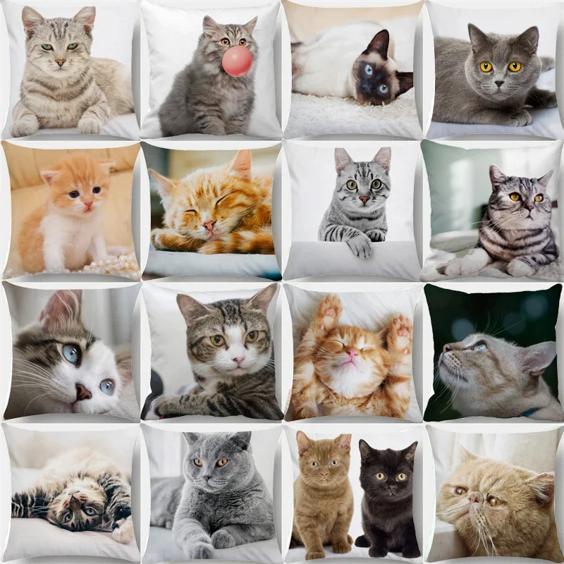 Lovely Pet Cat Pillow Cases Sleeping Bubble Black Cats Animal Cushion Cover Sofa Living Room Home Decorative Custom Pillowslip
Lovely Pet Cat Pillow Cases Sleeping Bubble Black Cats Animal Cushion Cover Sofa Living Room Home Decorative Custom Pillowslip
