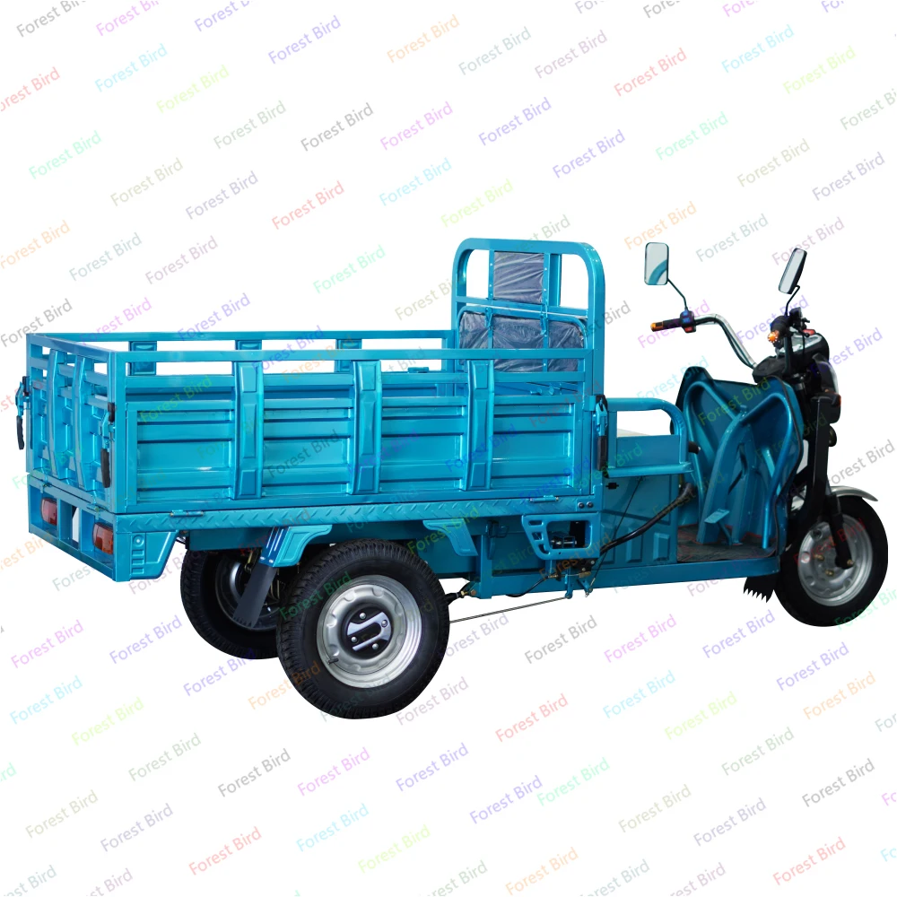 Трехколесные грузовые электрические трехколесные велосипеды e-Trikes для взрослых
Трехколесные грузовые электрические трехколесные велосипеды e-Trikes для взрослых