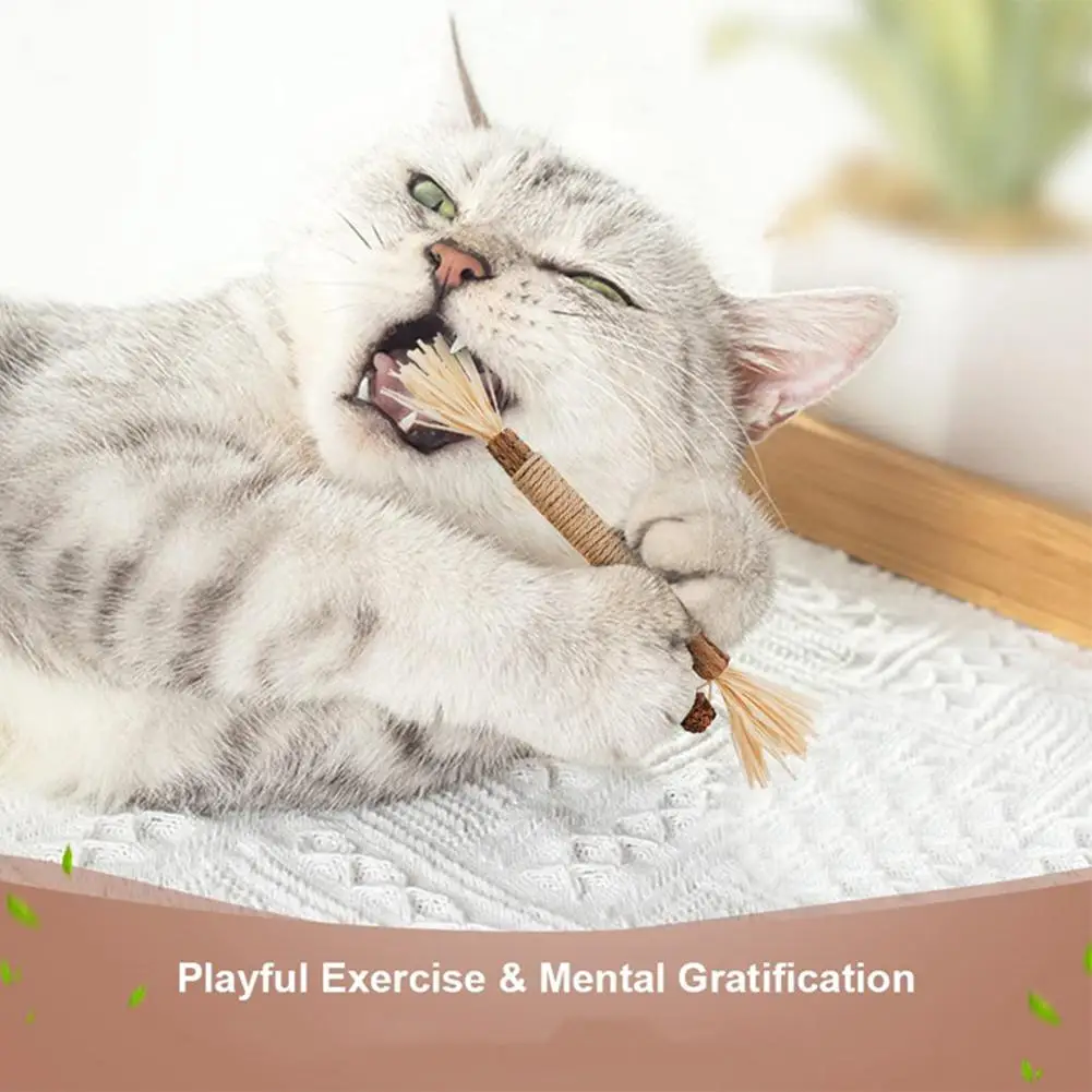 Cat Cleaning Teeth Silvervine Chew Stick Toys Pet Snacks Sticks Natural Stuff With Catnip For Kitten Catnip Teasing Chew To W2W5
Cat Cleaning Teeth Silvervine Chew Stick Toys Pet Snacks Sticks Natural Stuff With Catnip For Kitten Catnip Teasing Chew To W2W5