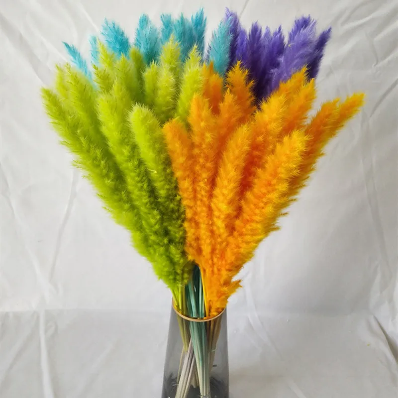 15PCS 45CM pampa Wedding Flowers Arrangement Natural Bouquet For Home Christmas Decorations Vase Dekoration Boho Home Decor
15PCS 45CM pampa Wedding Flowers Arrangement Natural Bouquet For Home Christmas Decorations Vase Dekoration Boho Home Decor