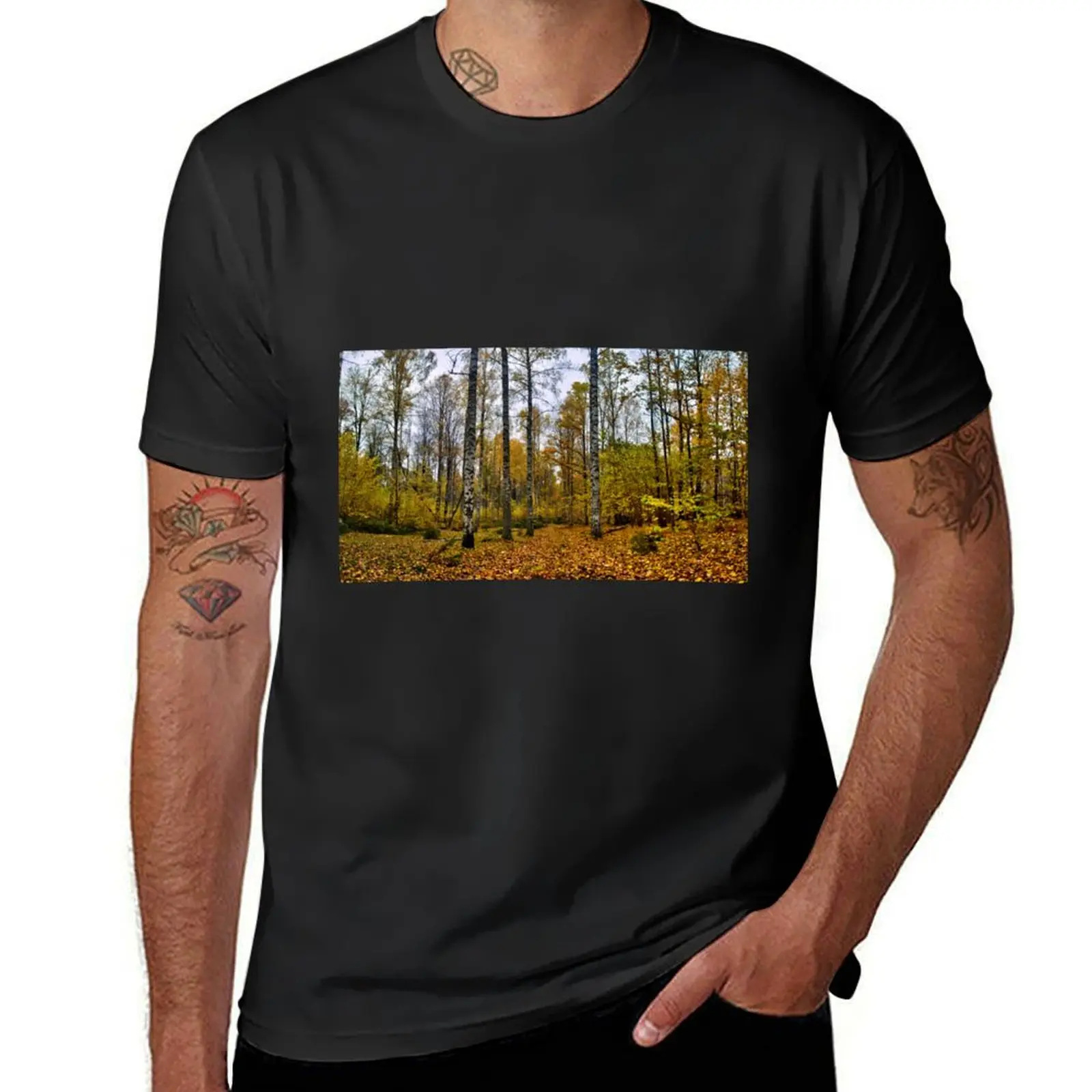 Fall strikes at Srknatten Naturreservat T-Shirt sweat aesthetic clothes Short sleeve tee men
Fall strikes at Srknatten Naturreservat T-Shirt sweat aesthetic clothes Short sleeve tee men