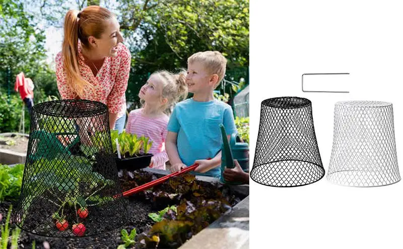 Cloche Dome For Plants Plant Bell Cover Iron Wire Plant Protector Garden Cloche 10pcs Garden Cages With 30 Pcs Garden Stakes
Cloche Dome For Plants Plant Bell Cover Iron Wire Plant Protector Garden Cloche 10pcs Garden Cages With 30 Pcs Garden Stakes
