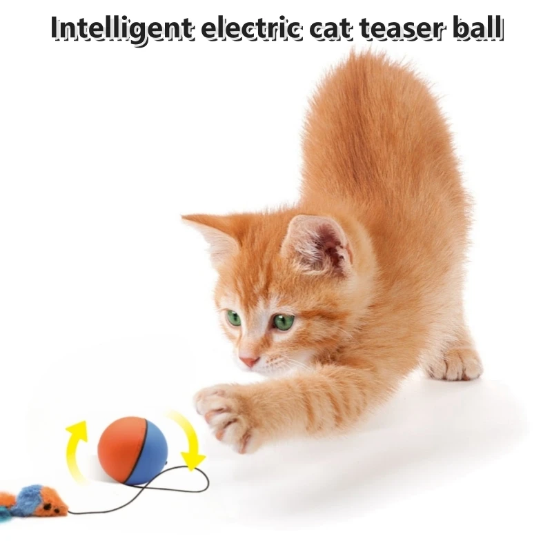 

Cats Toys Cat Ball Juguetes Para Gatos Productos Mascotas Accesorios Peluche Catnap Jouet Pour Balle Chat Pelucia Rat Mouse