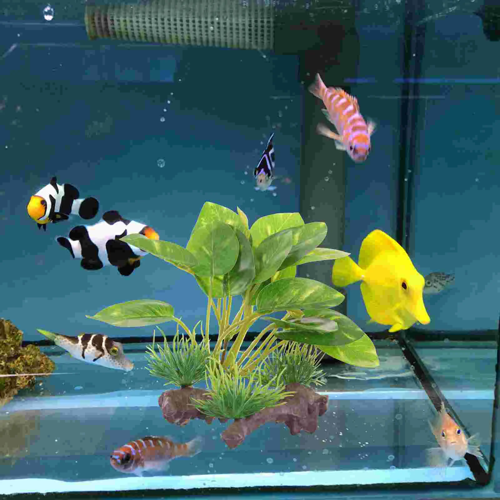 Artificial Water Plants Plastic Fish Tank Aquarium Decor Aquatic for Accessories 
Artificial Water Plants Plastic Fish Tank Aquarium Decor Aquatic for Accessories