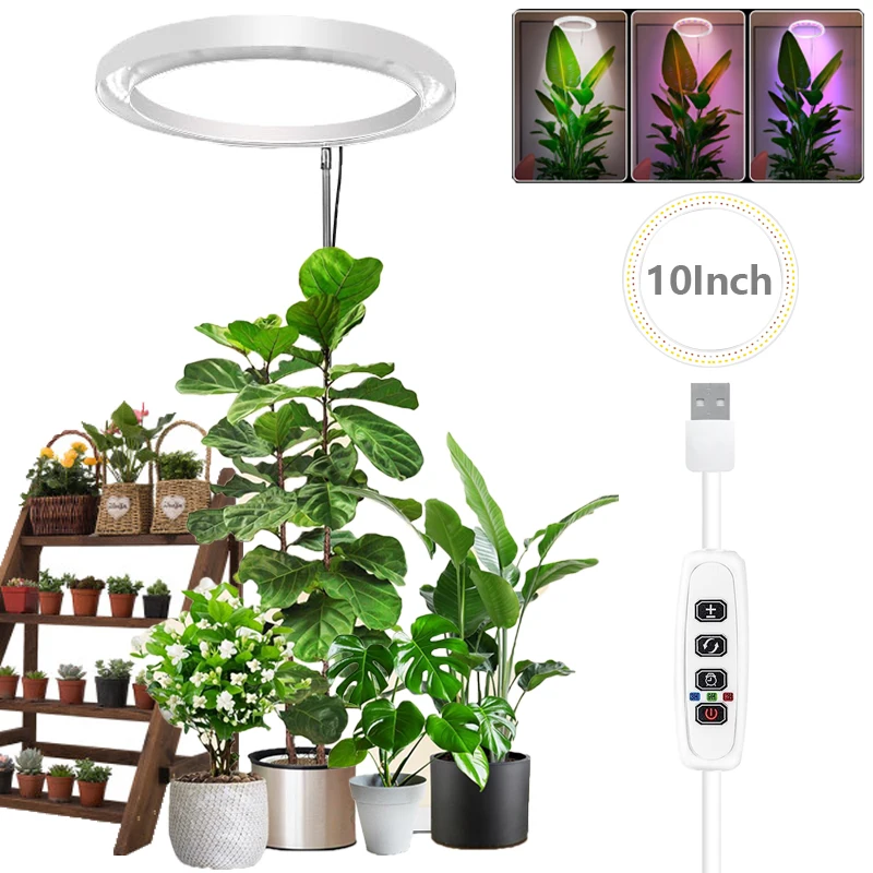 

LED Grow Light Full Spectrum Plant Growing Lamp for Indoor Plants Height Adjustable Dimmable 10" Large Plant Light with Timer