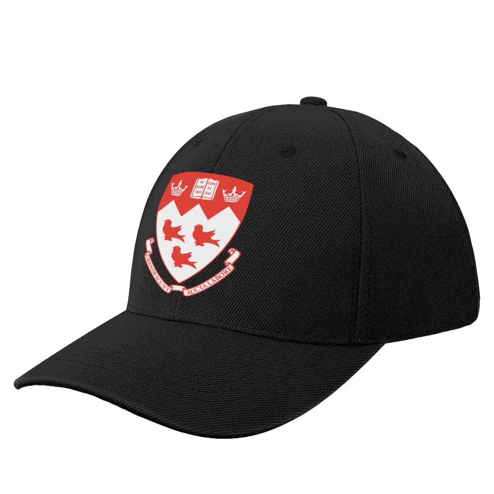 McGill University Icon Baseball Cap Christmas Hats Luxury Hat Ball Cap Fishing Caps Hat For Girls Men's
McGill University Icon Baseball Cap Christmas Hats Luxury Hat Ball Cap Fishing Caps Hat For Girls Men's