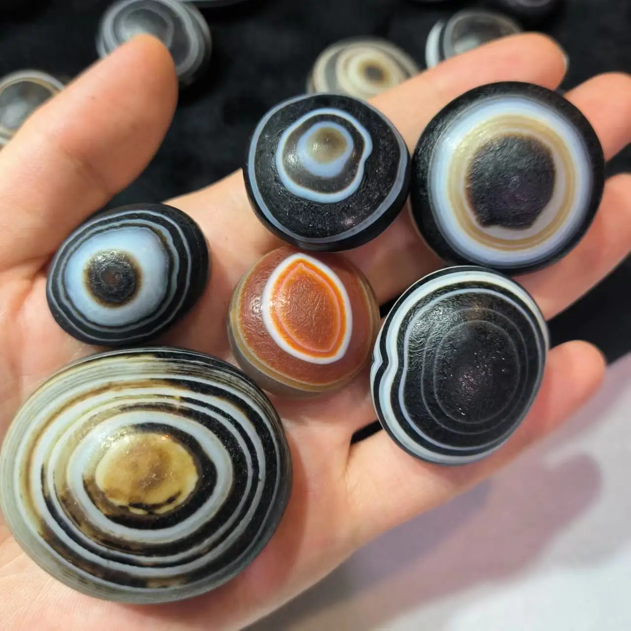 1pcs/lot natural sheep plate bead eye agate one eye dzi Weathered Horseshoe Handmade ancient beads precious accessories jewely
1pcs/lot natural sheep plate bead eye agate one eye dzi Weathered Horseshoe Handmade ancient beads precious accessories jewely