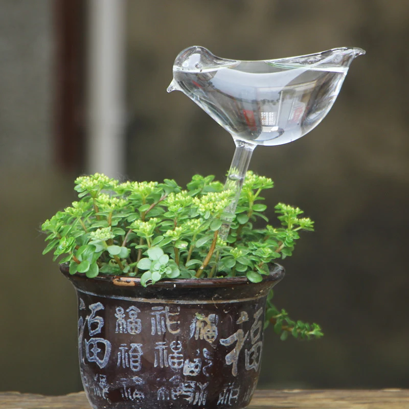 

Automatic Flower Watering Device Plant Waterer Self Watering Globes Bird Shape Hand Blown Clear Glass Aqua Bulbs