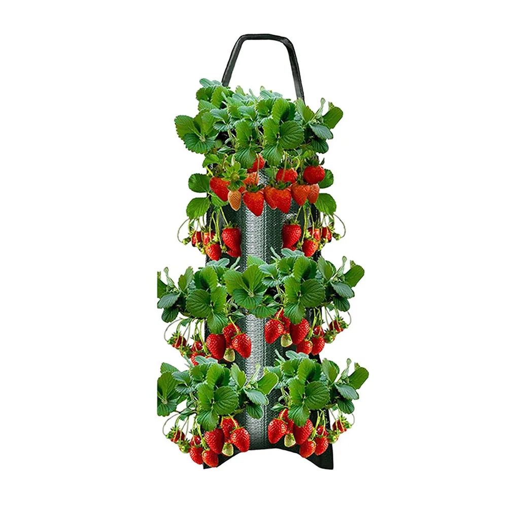 8 Holes Fabric Wall Hanging Grow Bag Strawberry Herb Nursery Pot Garden Flower Vegetable Growing Container Balcony Decoration
8 Holes Fabric Wall Hanging Grow Bag Strawberry Herb Nursery Pot Garden Flower Vegetable Growing Container Balcony Decoration
