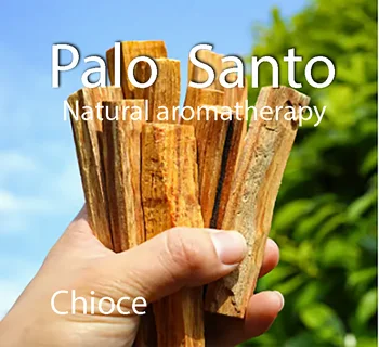 Golden Prana 52 Palo Santo Incense Sticks, 10-Piece Natural Set