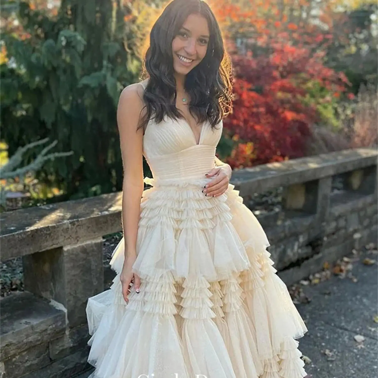 Cindy Layered Banquet Dress Long Elegant Guest Wedding V-neck Luxury Evening Dresses 2024 Party Women Mesh Gowns Prom Cocktail
Cindy Layered Banquet Dress Long Elegant Guest Wedding V-neck Luxury Evening Dresses 2024 Party Women Mesh Gowns Prom Cocktail