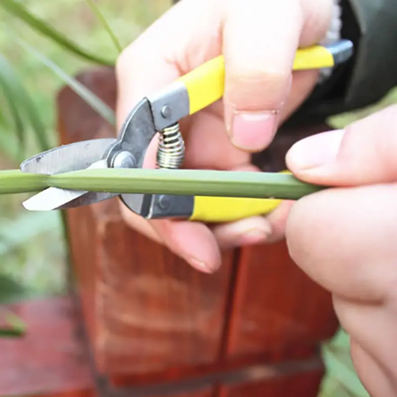 Stainless Steel Cutting Tools Tree Flower Cutter Shears Anti-slip Gardening Pruning Shear Scissor Handheld Plant Pruner
Stainless Steel Cutting Tools Tree Flower Cutter Shears Anti-slip Gardening Pruning Shear Scissor Handheld Plant Pruner