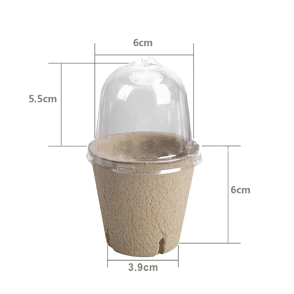 Humidity Dome Plant Pots With Humidity Dome 10pcs Biodegradable For Grow Nursery Garden Supply Paper Plant Pots
Humidity Dome Plant Pots With Humidity Dome 10pcs Biodegradable For Grow Nursery Garden Supply Paper Plant Pots