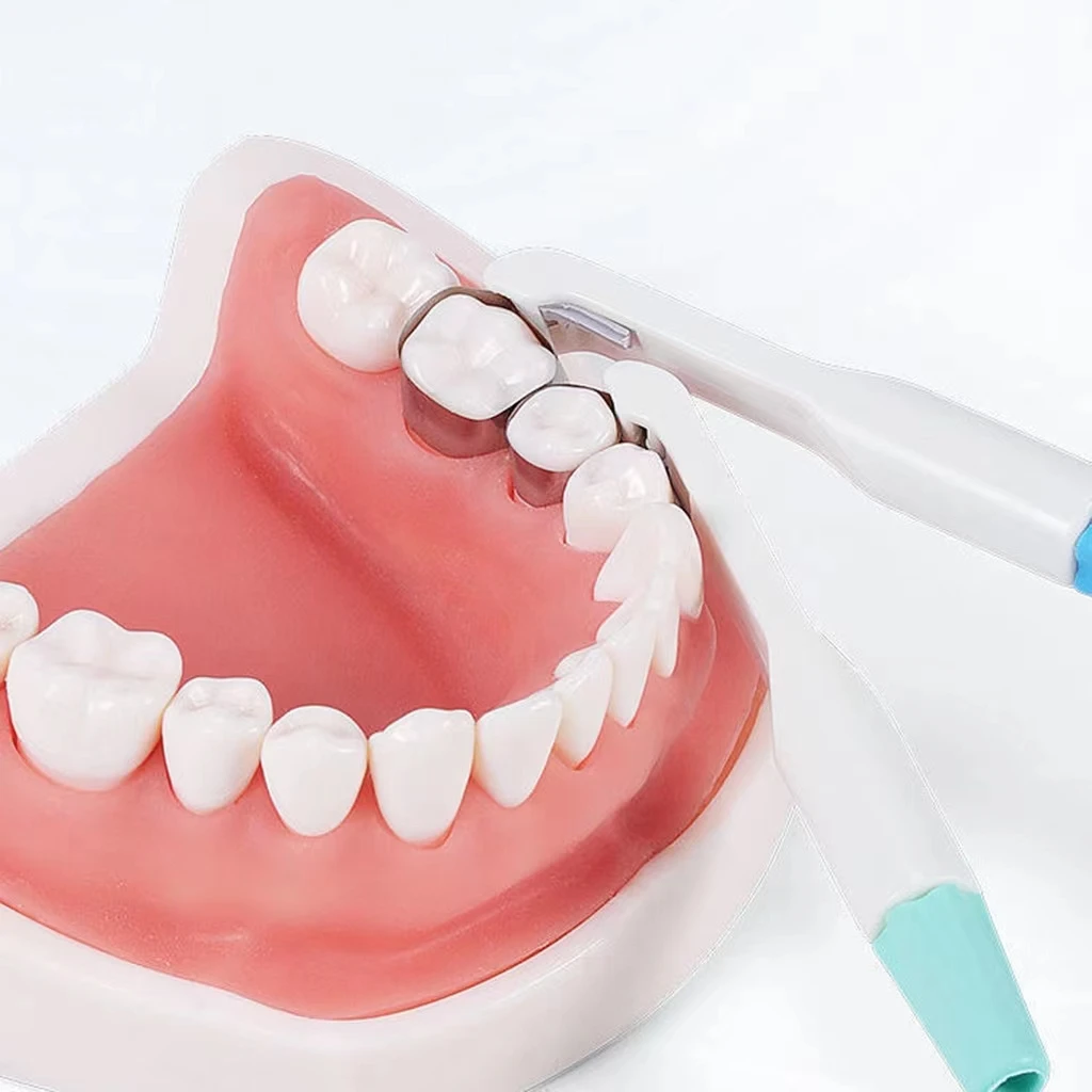 

1PCS Dental Matrix Band Matrice Adjustable Ring System Stainless Standard And Curved Pre Formed 4.5 / 6 MM Easyinsmile Dentisty