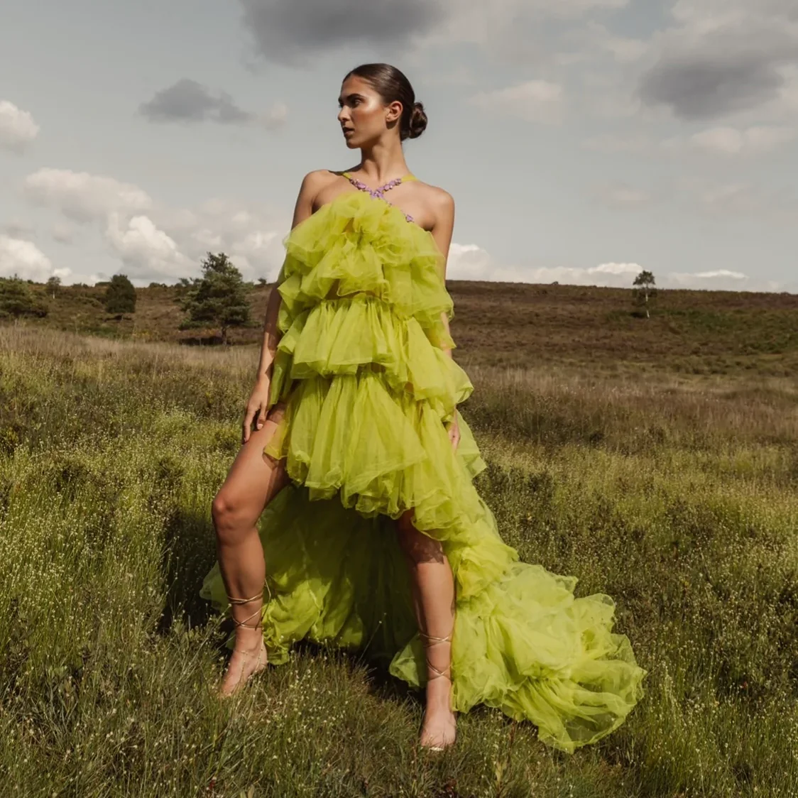 Fashion Layered Tulle Dress High Low Prom Party Dresses Puffy Ruffled Tulle Evening Gown Women Birthday Dress Photography Props
Fashion Layered Tulle Dress High Low Prom Party Dresses Puffy Ruffled Tulle Evening Gown Women Birthday Dress Photography Props