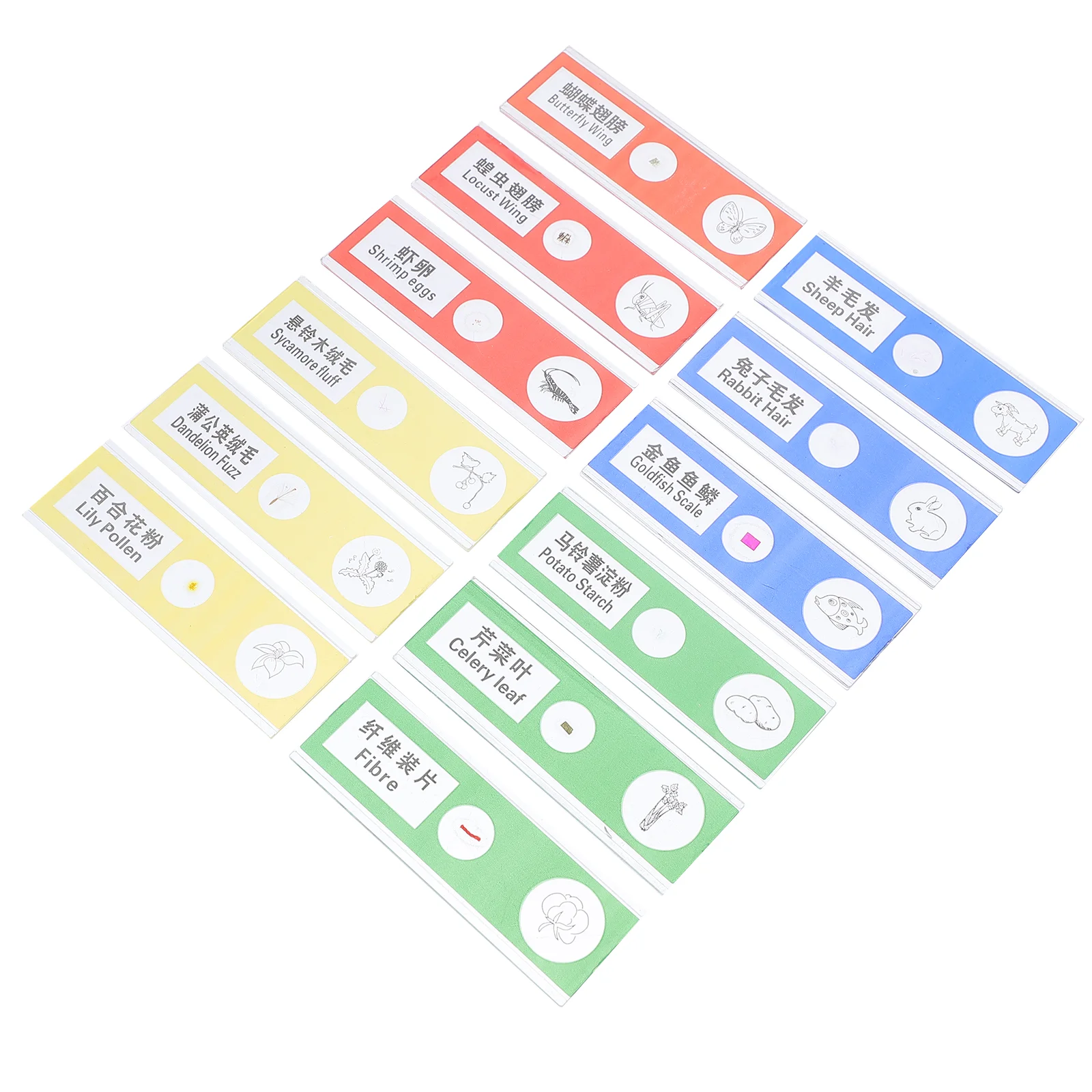 36 Pcs Childrens Toys Microscope Slide Insects Sample Specimens Plastic Prepared Slides Stereo Plant Plants Student
36 Pcs Childrens Toys Microscope Slide Insects Sample Specimens Plastic Prepared Slides Stereo Plant Plants Student