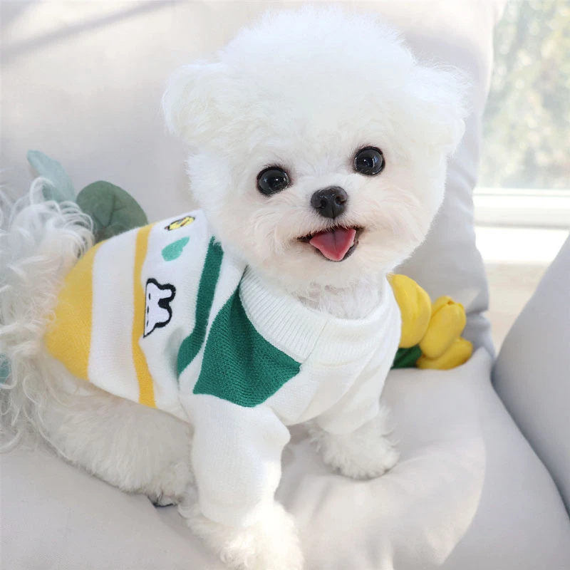 Cute Striped Dog Clothes Winter Teddy Sweater Small Dog Rabbit Pattern Pullover Pet Warm Clothing Schnauzer Casual Knit
Cute Striped Dog Clothes Winter Teddy Sweater Small Dog Rabbit Pattern Pullover Pet Warm Clothing Schnauzer Casual Knit